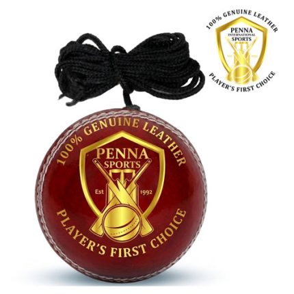 Penna Premium Cricket Red Hanging Ball