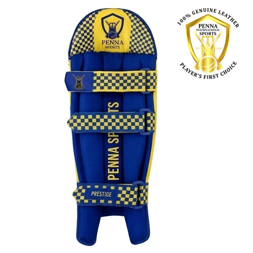 Penna Yellow and Blue Cricket Keeper Pad 03